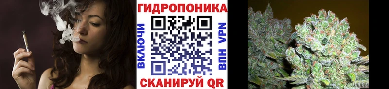 Шишки марихуана Ganja Кольчугино